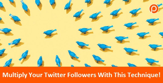 Actively Grow your twitter followers