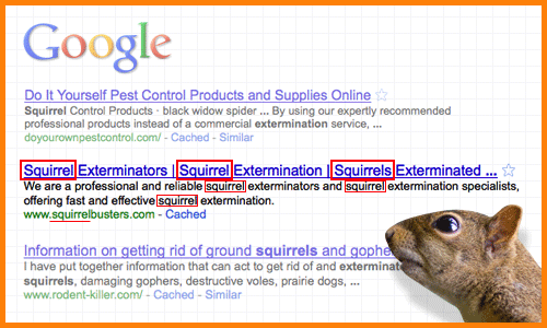squirrel_example